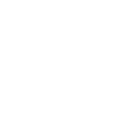 NT LABS